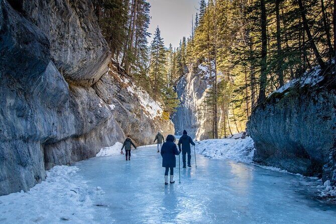 Majestic Grotto Canyon Ice Walk tour from Banff Calgary Canmore - A Detailed Look at the Itinerary