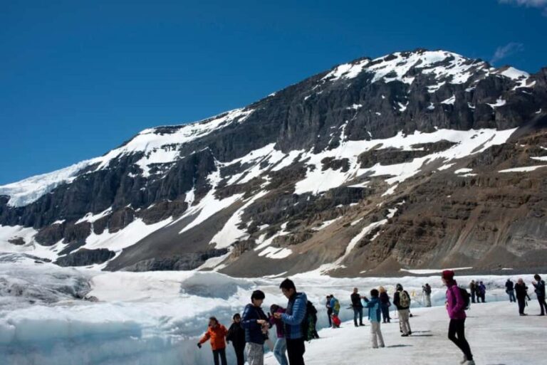 Majestic Icefield Private Day Tour from Calgary - What Makes This Tour Stand Out?