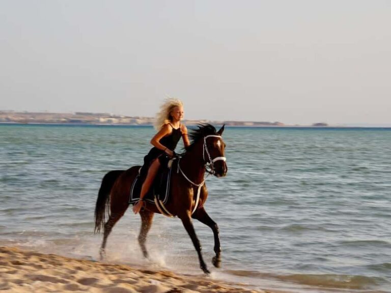 Makadi Bay: Horse Riding in Desert & Sea w Guide + Transfers - What to Expect on Your Ride