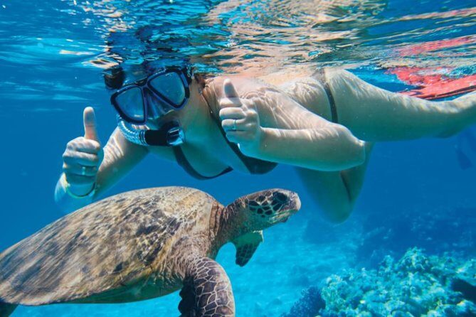 Makena-Wailea Explorer Trip in Maui - FAQ (Frequently Asked Questions)