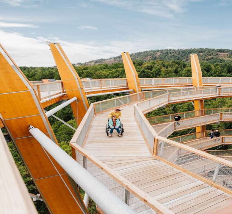Malahat SkyWalk Ticket - What to Expect at the Malahat SkyWalk