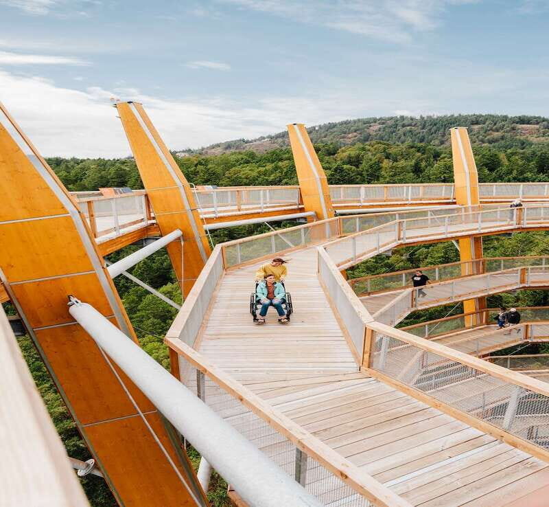 Malahat SkyWalk Ticket - What to Expect at the Malahat SkyWalk
