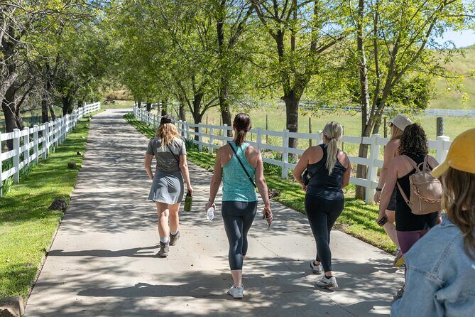 Malibu: Guided Vineyard Hike with Photo Stops and Wine - What the Reviews Say: Authentic Experiences and Small Group Benefits