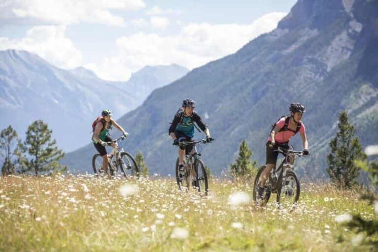 Mammoth: Half-Day Premium Mountain Bike or E-Bike Rental - Why You Should Consider This Rental