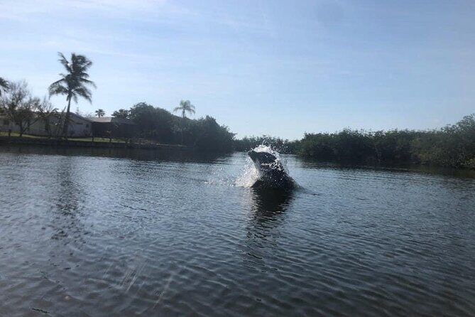 Manatee and Dolphin Kayak Tour - The Value of Guided Nature Tours