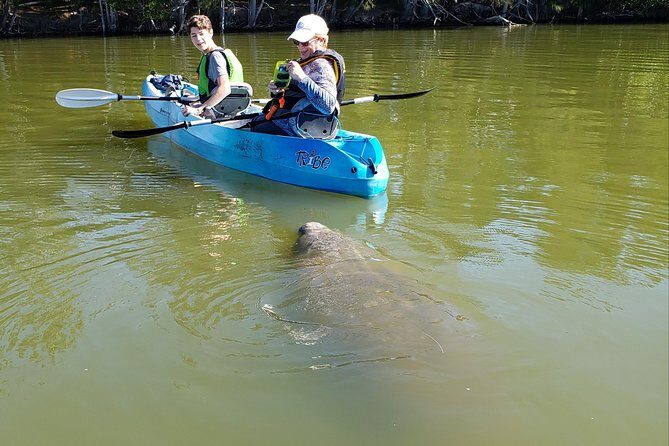 Manatee and Dolphin Kayaking | Wildlife Refuge (Titusville) - Frequently Asked Questions