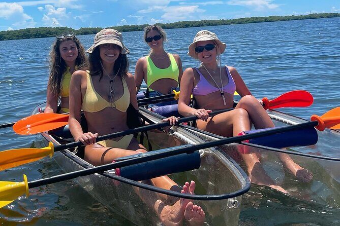 Manatee And Dolphin Tour - A Closer Look at the Experience