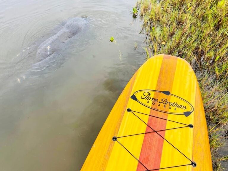 Manatee and Nature Tour of Ormond Beach - Who Should Consider This Tour?