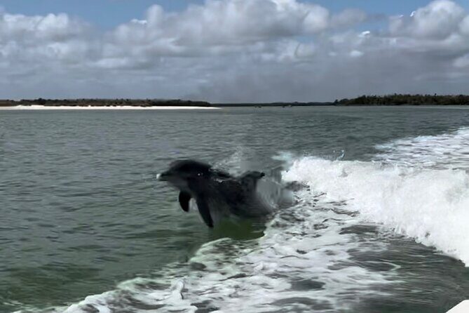 Manatee, Dolphin, and 10,000 Islands Eco Beach Tour by Boat - Practical Considerations for Travelers