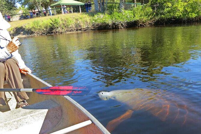 Manatee Kayak Encounter - Meeting Points and Timing