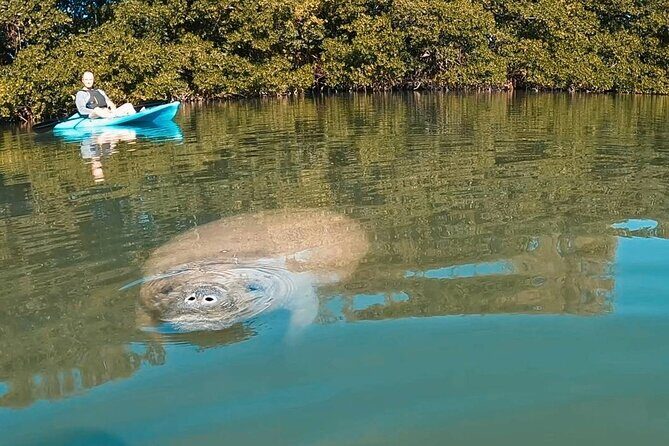 Manatee Season Guided Paddle Tour from Virginia Key - Who Will Love This Tour?