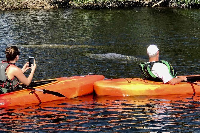 Manatees and Mangrove Tunnels Small Group Kayak Tour - Why This Tour Works for Different Travelers