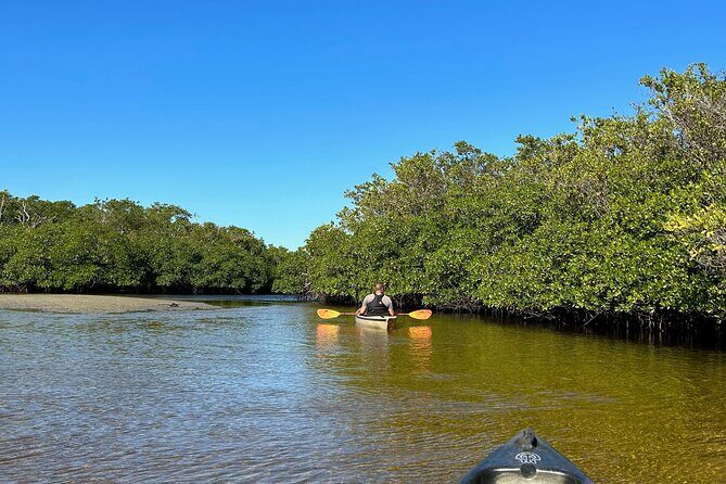 Manatees, Grasslands and Mangroves kayak Tour (Small Group Tour) - FAQs