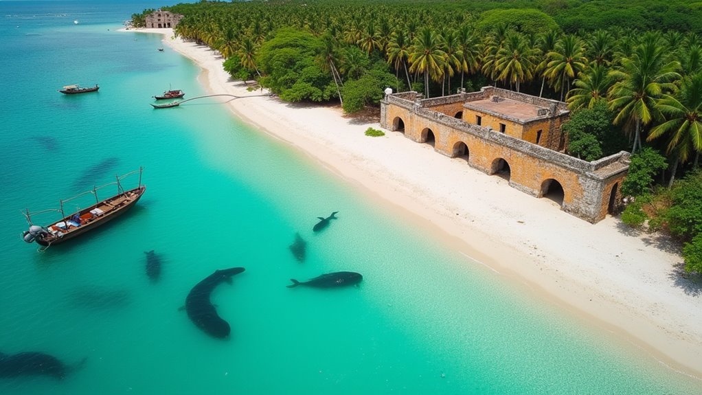 manatees forts beaches adventures