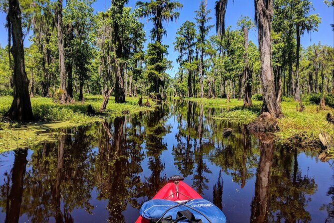 Manchac Swamp EXTENDED Kayak Tour with Pickup - Who Is This Tour Best For?
