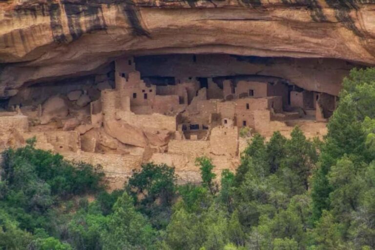 Mancos: Mesa Verde National Park Half-Day Tour - What to Expect During the Tour