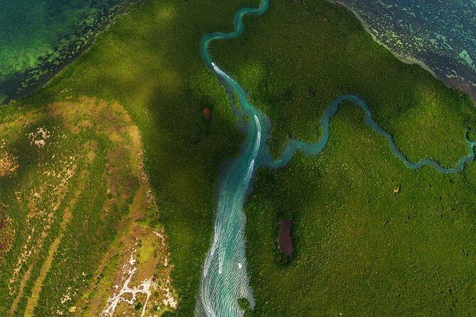 Mangrove and Lagoon Speed Boat Tour - The Itinerary in Detail