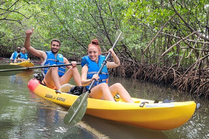 Mangrove Jungle Exploration on SUP/Kayak - The Sum Up