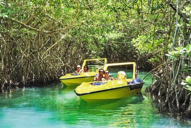 Mangrove Jungle Speedboat Experience - Practical Tips for Travelers