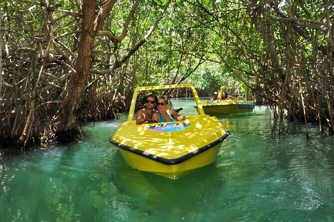 Mangrove Jungle Speedboat Experience - The Practical Aspects: Price, Duration, and Value