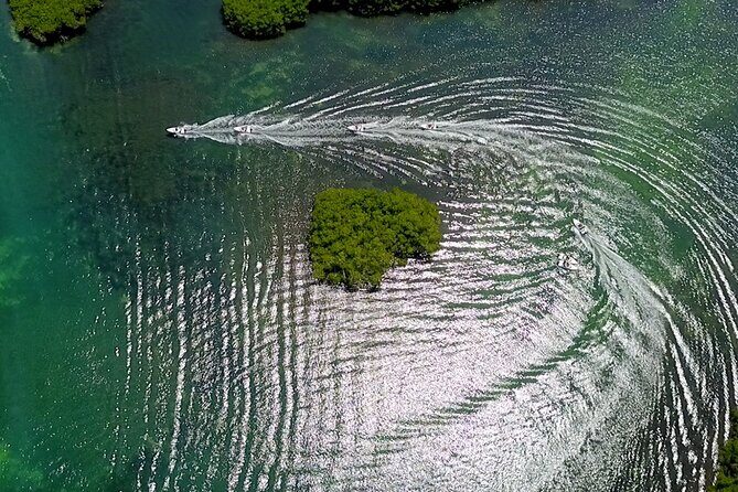 Mangrove Jungle Speedboat Tour in Nichupte Lagoon - Who Should Consider This Tour?