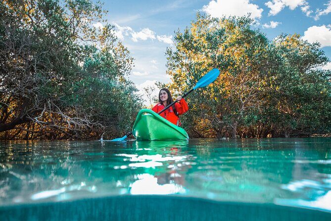 Mangrove Kayaking Abu Dhabi - The Value of the Tour