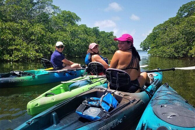 Mangrove Tunnel Kayak Adventure in Key Largo - Who Will Love This Tour?