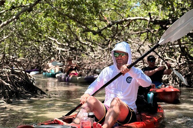 Mangrove Tunnel Kayak Tour To Shell Key - St. Pete, FL - What Travelers Love About This Tour
