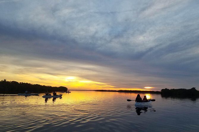 Mangrove Tunnels, Dolphins, Manatee Tour #1 Rated in Cocoa Beach - The Experience for Different Travelers