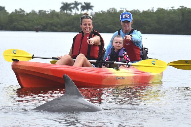 Mangrove Tunnels Kayak Tour (Photographer Included)- Marco Island - Price and Value
