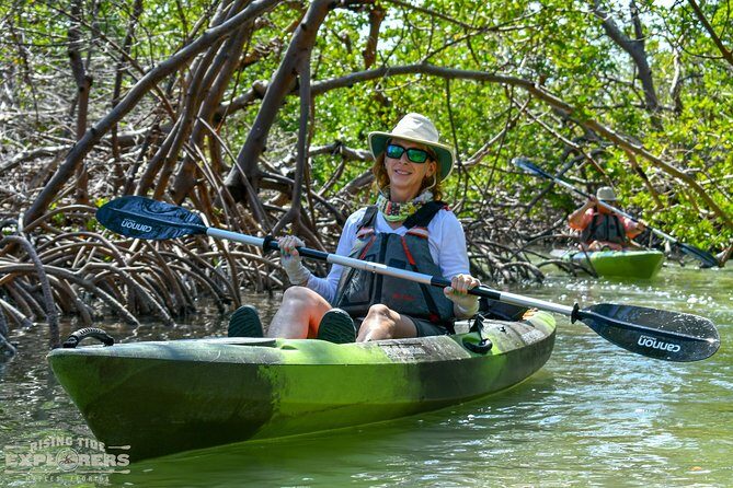 Mangrove Tunnels & Mudflats Kayak Tour - Local Biologist Guides - Practical Tips for Future Paddlers