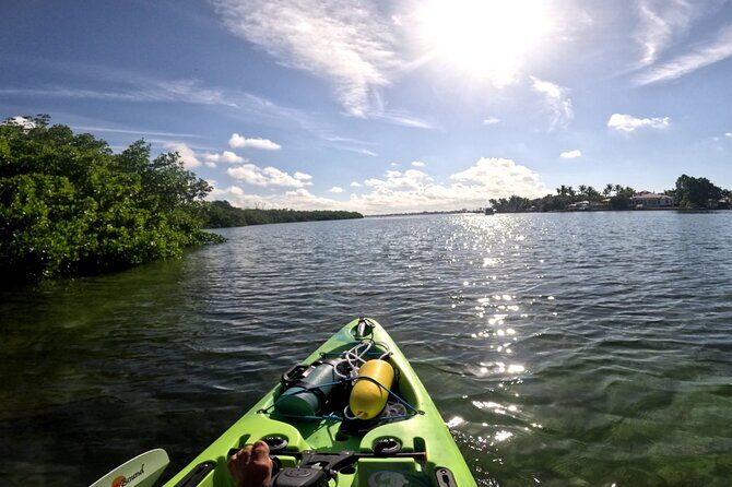 Mangrove Tunnels Pedal Kayak Eco-Tour in Anna Maria - The Itinerary in Detail