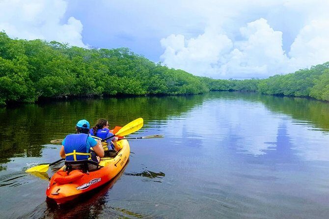 Mangroves and Manatees - Guided Kayak Eco Tour - What Makes This Tour Stand Out?