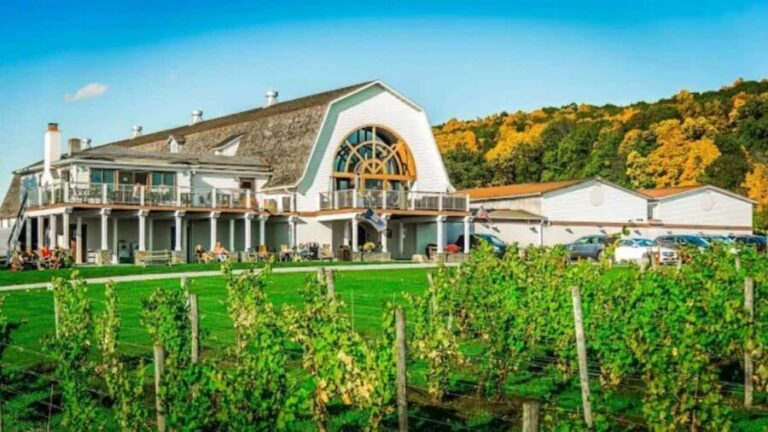 Manhattan: Millbrook Vineyards & Winery Private Tour - The Tasting Experience: What to Expect