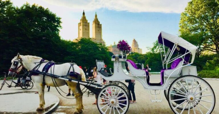 Manhattan: VIP Private Horse Carriage Ride in Central Park - What to Expect: An Authentic and Personal Tour