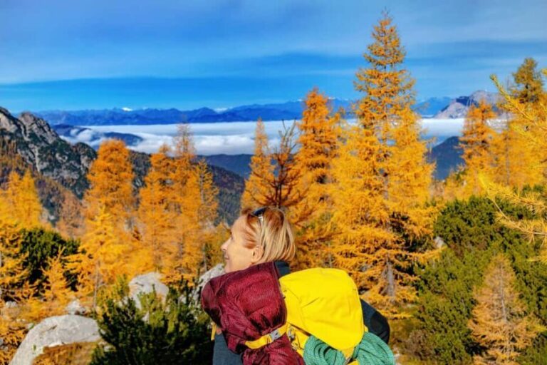 Manning Park: The Quest for the Golden Larch Tree - Who Should Consider This Tour?