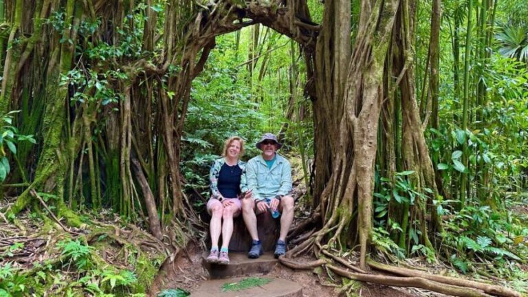 Manoa Falls eBike to Hike - What to Expect from the Itinerary