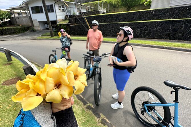 Manoa Falls-Electric Bike to Hike Experience Local meal included - Summary
