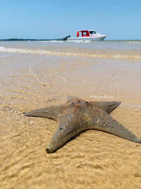 Maputo: Santa Maria, Inhaca & Portuguese Island daytrip - What’s Included and What’s Not