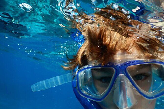 Marathon Key: 3-hour Snorkeling adventure on a Pontoon at Sombrero Reef - Analyzing the Value
