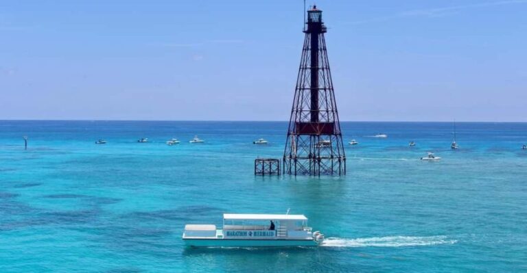 Marathon: Snorkeling Adventure by Boat at Sombrero Reef - What We Love and Consider