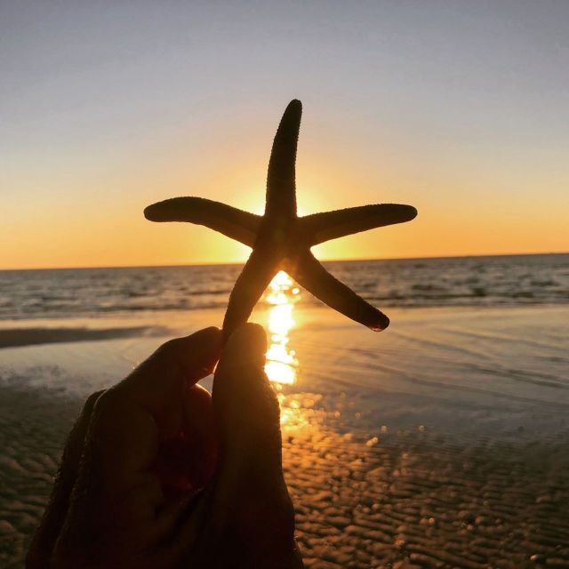 Marco Island: 2 Private Hour Sunset Boat Tour - What’s Included and What’s Not