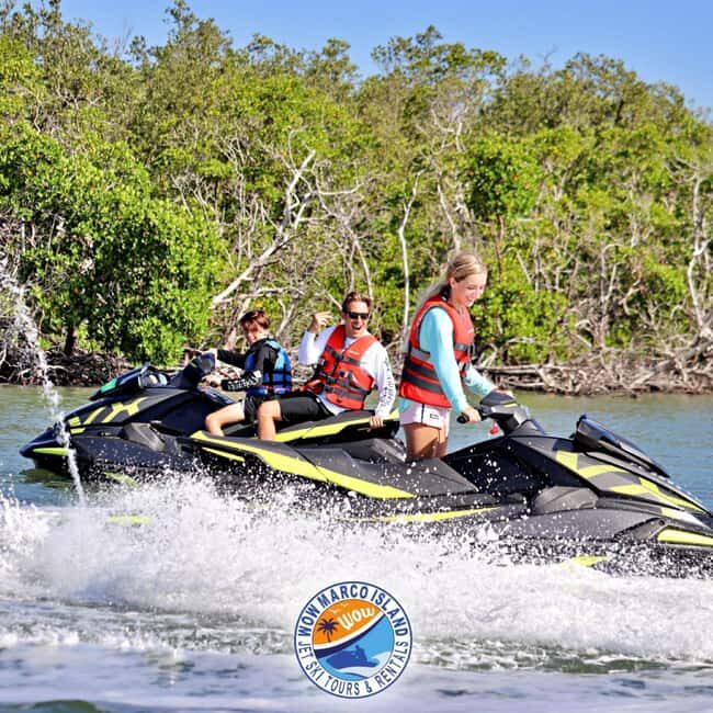 Marco Island: Dolphin Jet Ski Tour