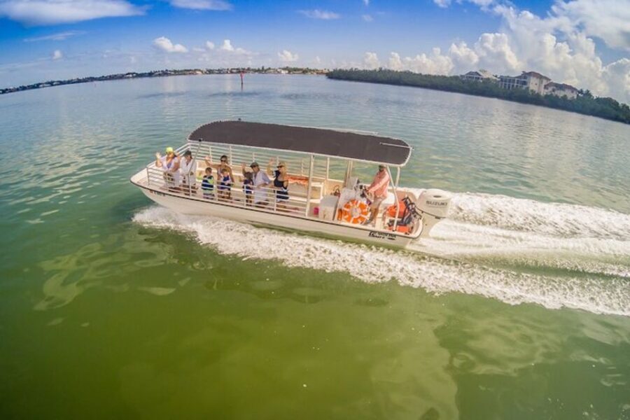 Marco Island: Dolphin-Watching Boat Tour