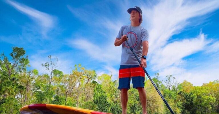 Marco Island: Guided Manatee-Watching Kayaking or SUP Tour - The Wildlife You’ll Encounter