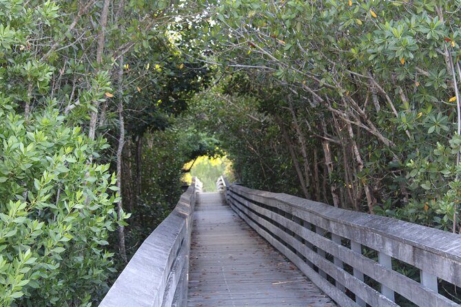 Marco Island Photography Experience - What You Can Expect During the Tour