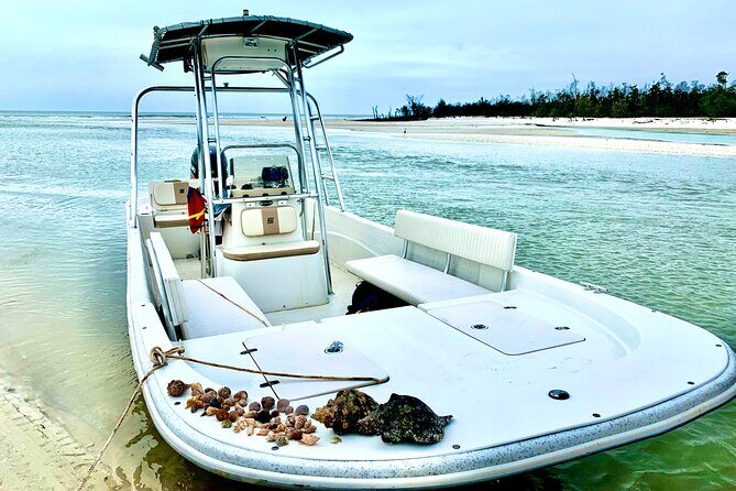 Marco Island Private Tubing, Dolphin Watching and Shelling Tour - Authentic Experiences and Reviewer Insights