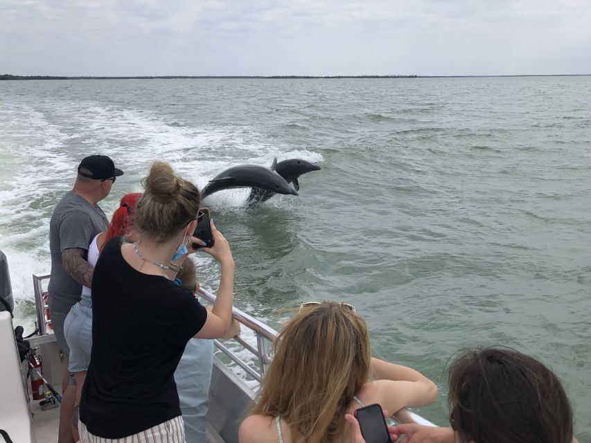 Marco Island: Ten Thousand Islands Shelling & Dolphin Tour