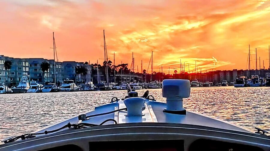 Marina Del Rey: Romantic Cruise, Wine, Cheese, Sealions
