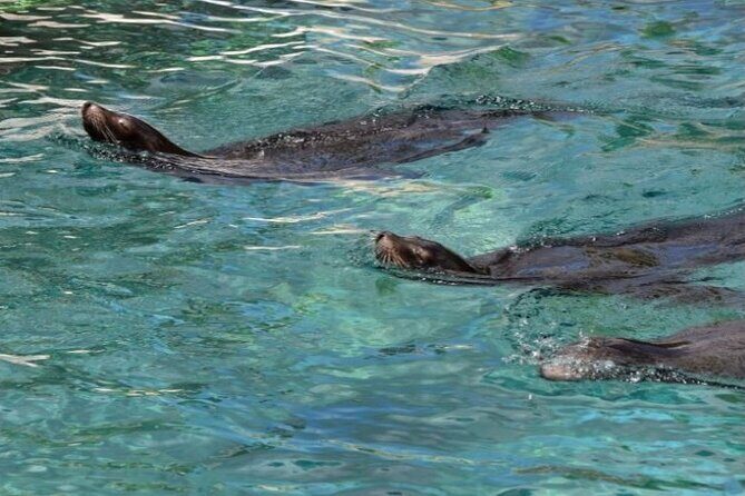 Marine Ecology Tour in La Paz Mexico - Practical Details: What to Expect